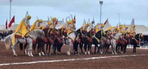 FB_IMG_1740582654778