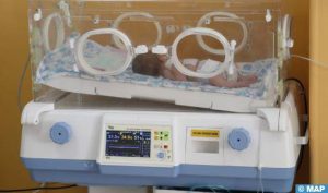 incub126614265-508x300