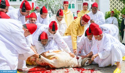 SM-le-Roi_Aid-Al-Adha1-508x300