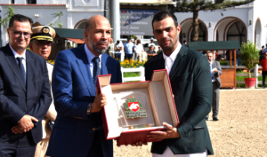 MAP7438625231-508x300