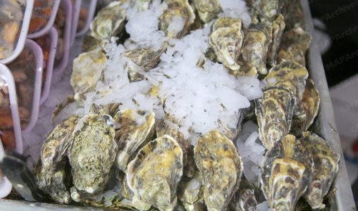 Huitres-1-508x300_jpg-508x300