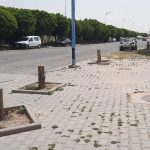 قطع الأشجار
